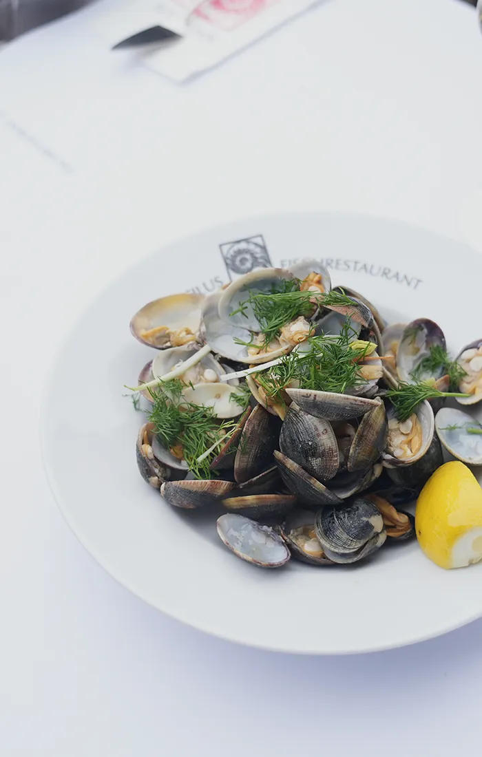 Vongole mit Dill und Zitrone auf Nautilus-Teller