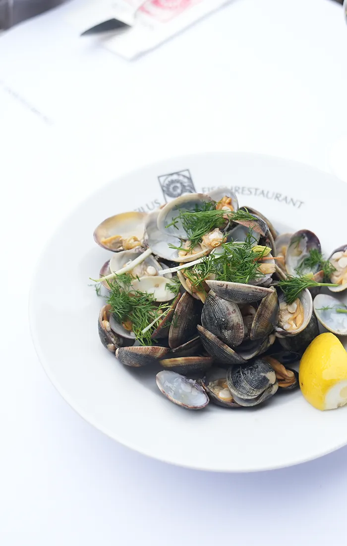 Vongole in Weißweinsauce mit Zitrone
