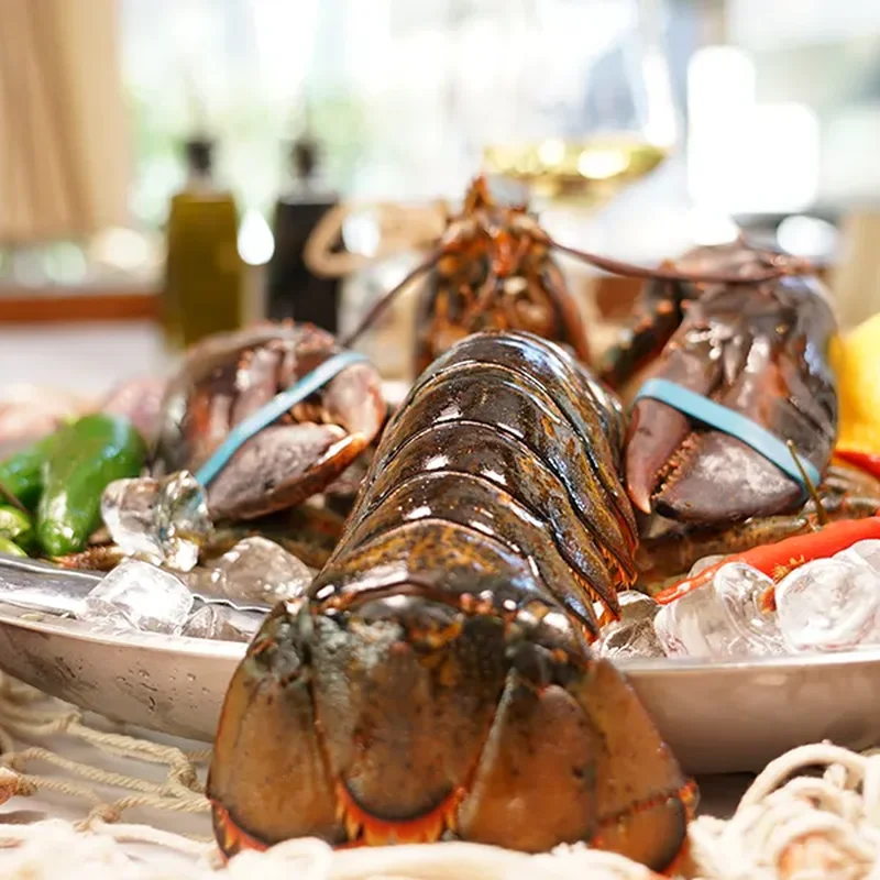 Instagram: Hummer auf Eis im Nautilus Fischrestaurant